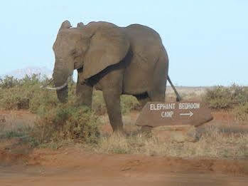 Elephant Bedroom Camp Archers Post Exterior foto